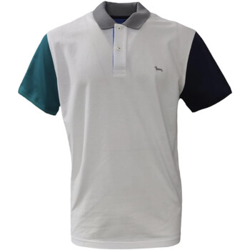 Abbigliamento Uomo T-shirt & Polo Harmont & Blaine LRJ351021215100 Altri