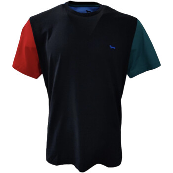 Abbigliamento Uomo T-shirt & Polo Harmont & Blaine IRJ210021236801 Altri