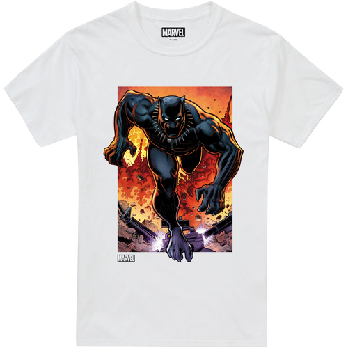Abbigliamento Uomo T-shirts a maniche lunghe Black Panther TV2125 Bianco