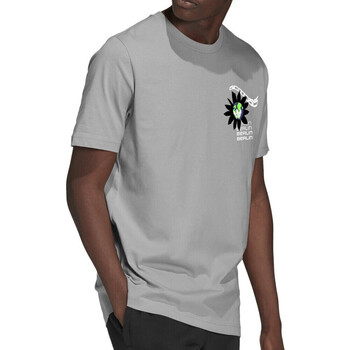 Abbigliamento Uomo T-shirt maniche corte adidas Originals HL3952 Grigio