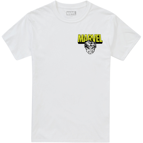 Abbigliamento Uomo T-shirts a maniche lunghe Hulk  Bianco
