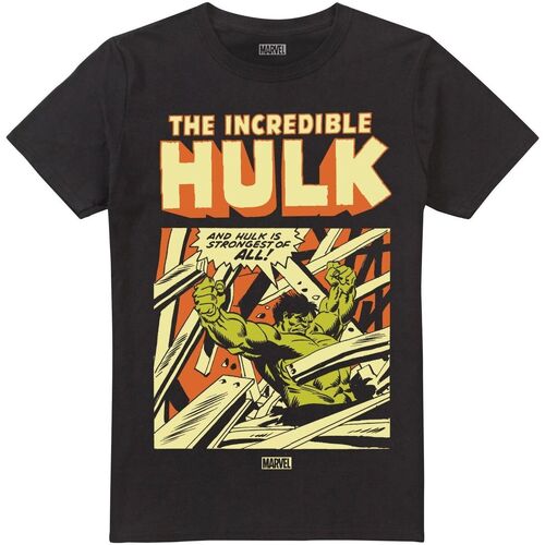 Abbigliamento Uomo T-shirts a maniche lunghe Hulk  Nero