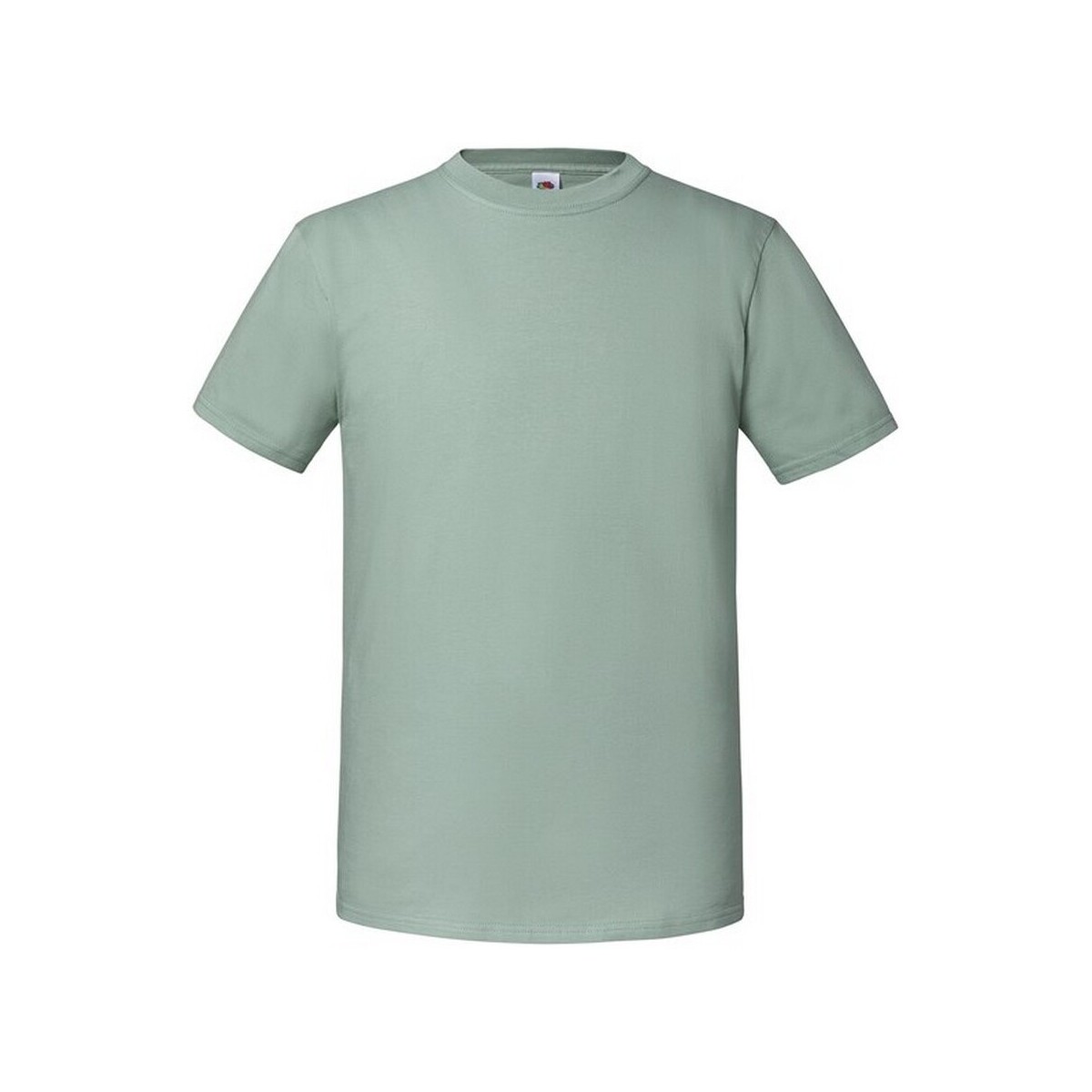 Abbigliamento Uomo T-shirts a maniche lunghe Fruit Of The Loom Premium Verde