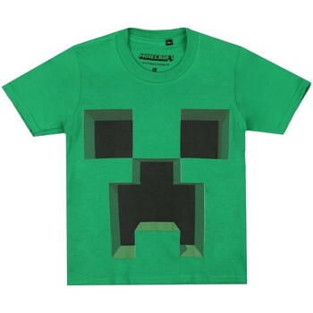 Abbigliamento Bambino T-shirt maniche corte Minecraft  Verde