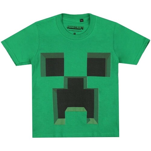 Abbigliamento Bambino T-shirt maniche corte Minecraft TV2116 Verde