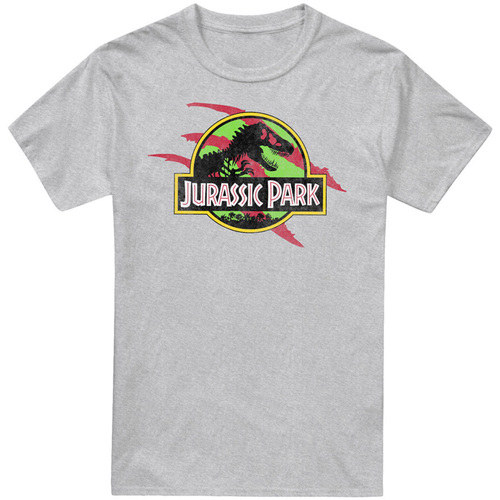 Abbigliamento Uomo T-shirts a maniche lunghe Jurassic Park Truck Grigio