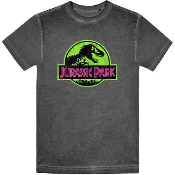 Abbigliamento Uomo T-shirts a maniche lunghe Jurassic Park TV2141 Nero