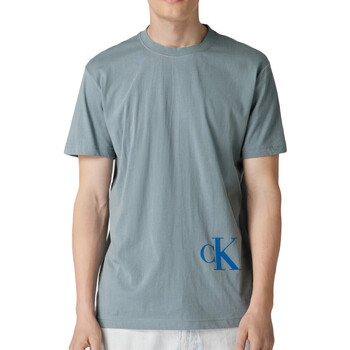Abbigliamento Uomo T-shirt & Polo Calvin Klein Jeans J30J323940 Grigio