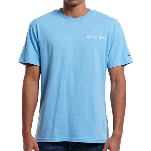Abbigliamento Uomo T-shirt & Polo Tommy Hilfiger DM0DM15790 Blu