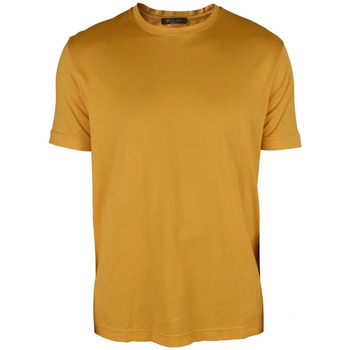 Abbigliamento Uomo T-shirt & Polo Loro Piana  Giallo