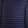 Abbigliamento Uomo Giacche Ciesse Piumini Larry - 800Fp Light Down Hoody Jacket Blu