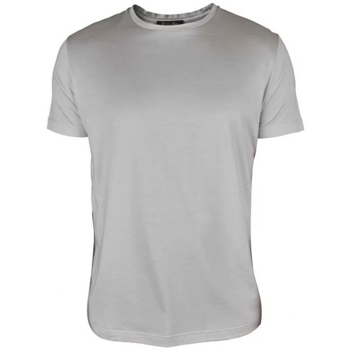 Abbigliamento Uomo T-shirt & Polo Loro Piana  Grigio