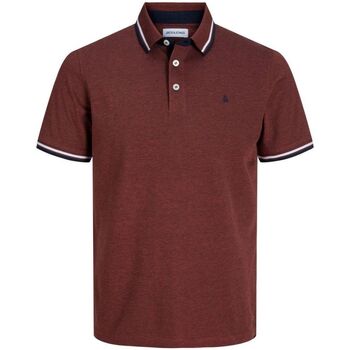 Abbigliamento Uomo T-shirt & Polo Jack & Jones 12136668 PAULOS-CINNABAR Rosso