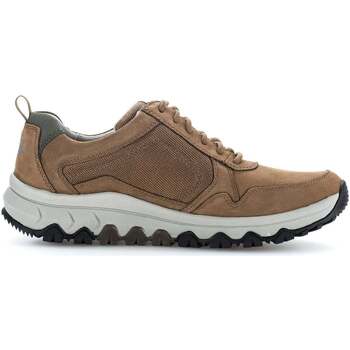 Scarpe Uomo Sneakers Pius Gabor 8005.11.03 Marrone