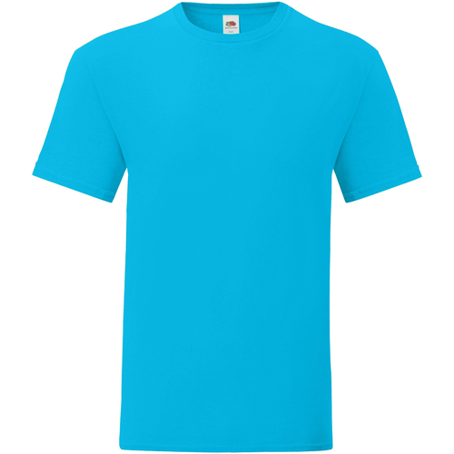 Abbigliamento Uomo T-shirts a maniche lunghe Fruit Of The Loom Iconic 150 Multicolore