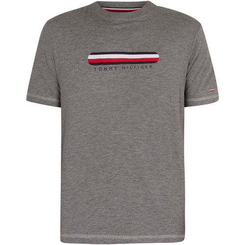 Abbigliamento Uomo Pigiami / camicie da notte Tommy Hilfiger T-Shirt grafica lounge Grigio
