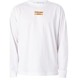 Abbigliamento Uomo T-shirt maniche corte Calvin Klein Jeans T-shirt a maniche lunghe con righe trasparenti Bianco