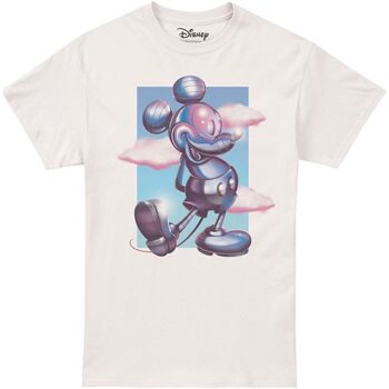 Abbigliamento Uomo T-shirts a maniche lunghe Disney TV2164 Beige