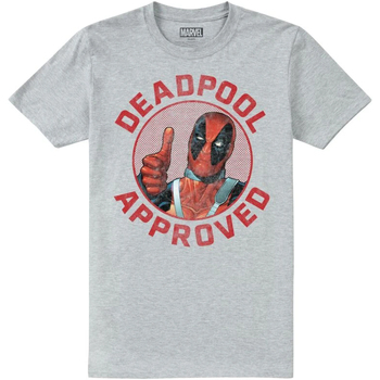 Abbigliamento Uomo T-shirts a maniche lunghe Deadpool Approved Grigio