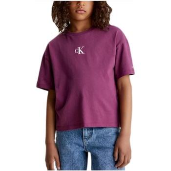 Abbigliamento Bambina T-shirt maniche corte Calvin Klein Jeans  Viola