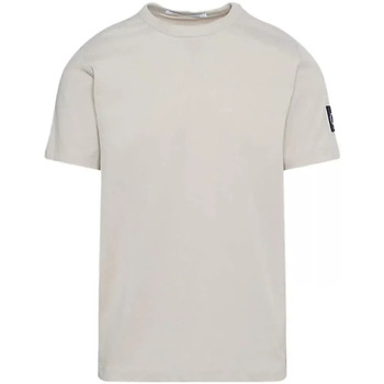 Abbigliamento Uomo T-shirt maniche corte Calvin Klein Jeans Insigne Grigio