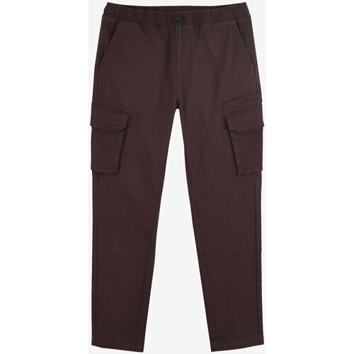 Abbigliamento Uomo Pantaloni Oxbow Cargo RYNGO Marrone