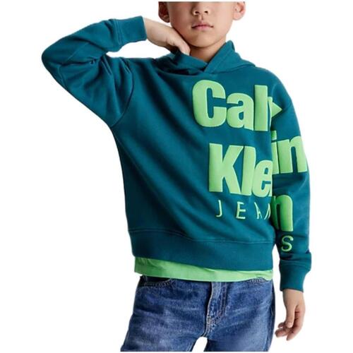 Abbigliamento Bambino Felpe Calvin Klein Jeans  Verde