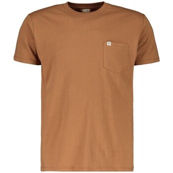 Abbigliamento Uomo T-shirt maniche corte Scout T-shirt M/m  (10584) Marrone