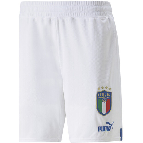 Abbigliamento Uomo Shorts / Bermuda Puma 765668-08 Bianco