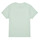 Abbigliamento Bambina T-shirt maniche corte Vans FLYING V CREW GIRLS Verde / Rosa