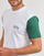 Abbigliamento Uomo T-shirt maniche corte Vans COLORBLOCK VARSITY SS TEE Bianco
