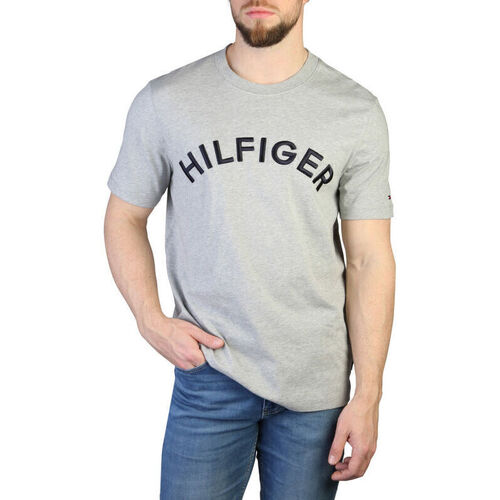 Abbigliamento Uomo T-shirt maniche corte Tommy Hilfiger - mw0mw30055 Grigio