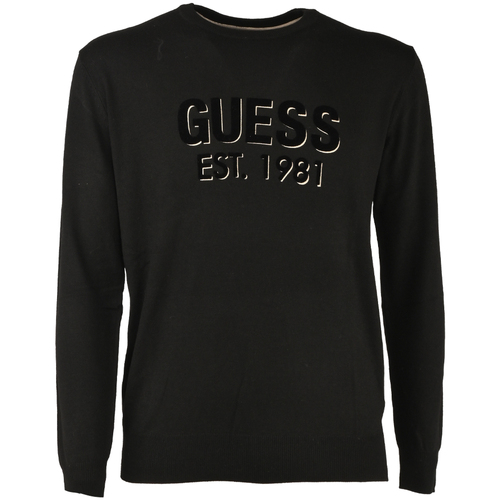 Abbigliamento Uomo T-shirt & Polo Guess m3yr03_z3052-jblk Nero