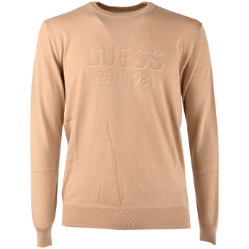Abbigliamento Uomo T-shirt & Polo Guess m3yr03_z3052-g1dr Beige