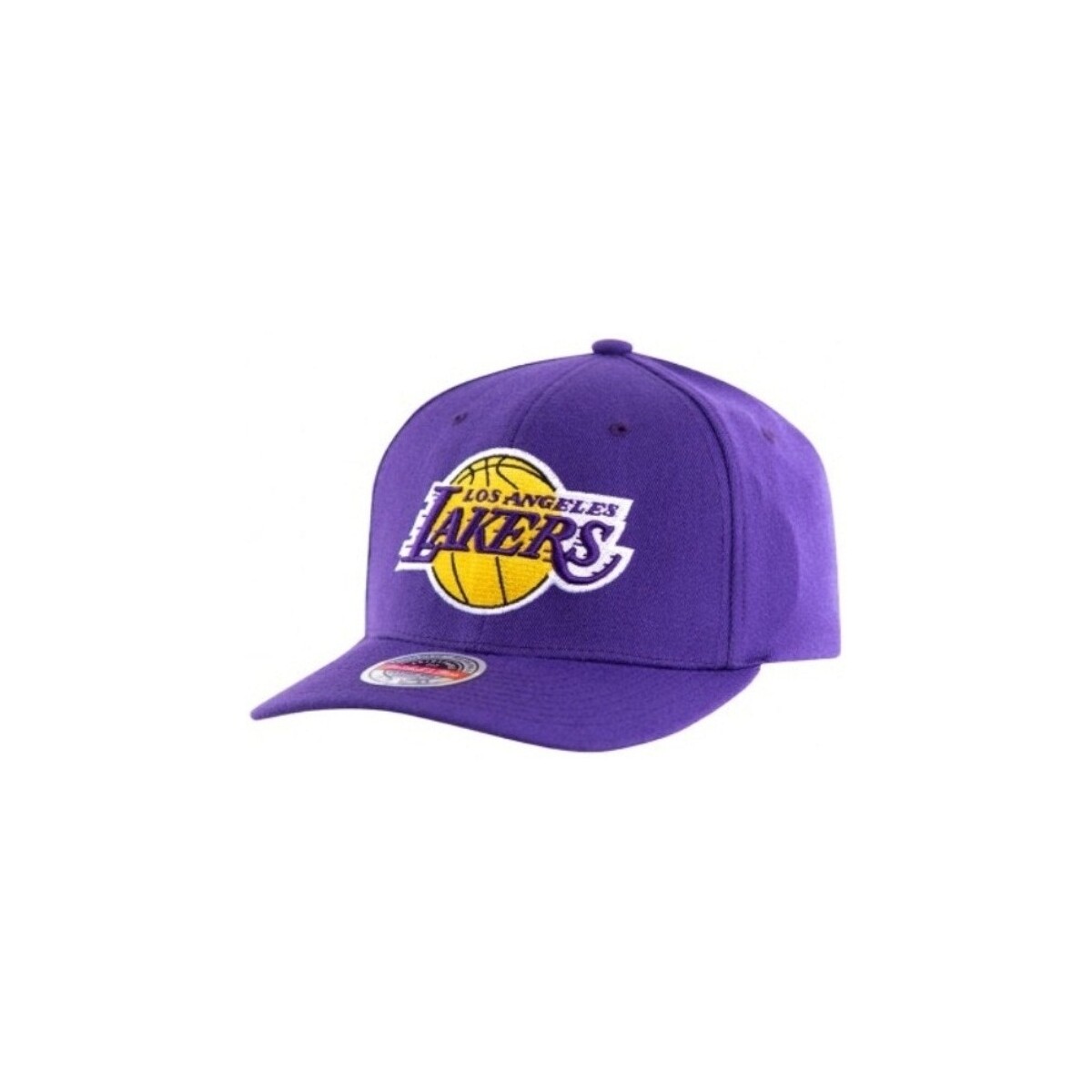 Accessori Cappelli Mitchell And Ness Mitchell&Ness Team Ground 2.0 Los Angeles Lakers Viola