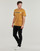 Abbigliamento Uomo T-shirt maniche corte Timberland Linear Logo Short Sleeve Tee Camel