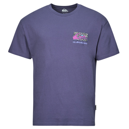 Abbigliamento Uomo T-shirt maniche corte Quiksilver SPIN CYCLE SS Blu / Grigio