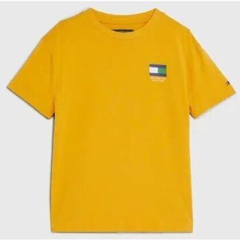 Abbigliamento Bambino T-shirt & Polo Tommy Hilfiger KB0KB08328 FLAG TEE-KEM COLLEGE GOLD Giallo