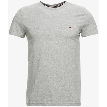 Abbigliamento Uomo T-shirt maniche corte Tommy Hilfiger  Grigio