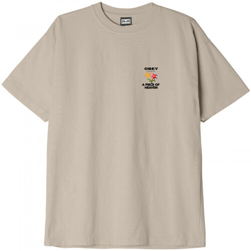 Abbigliamento Uomo T-shirt & Polo Obey A piece of heaven Beige