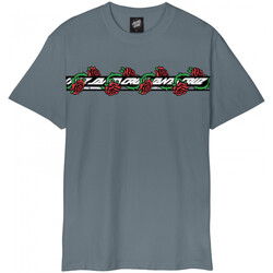 Abbigliamento Uomo T-shirt & Polo Santa Cruz Dressen roses ever-slick Grigio