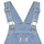 Abbigliamento Bambina Tuta jumpsuit / Salopette Levi's CLASSIC SHORTALLS Denim