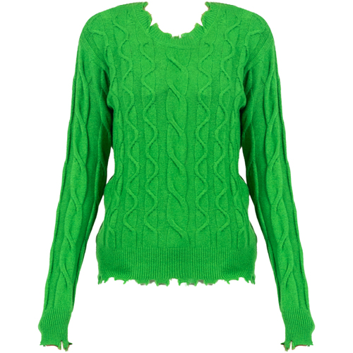 Abbigliamento Donna Maglioni Pinko 1N12AQ Y5LW | Laterizio Verde