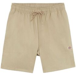 Abbigliamento Uomo Shorts / Bermuda Dickies Pantaloncini Pelican Rapids Uomo Desert Sand Beige