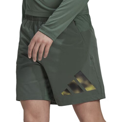 Abbigliamento Uomo Shorts / Bermuda adidas Originals HL8809 Verde