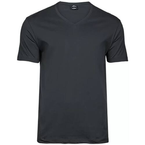 Abbigliamento Uomo T-shirts a maniche lunghe Tee Jay TJ8006 Grigio