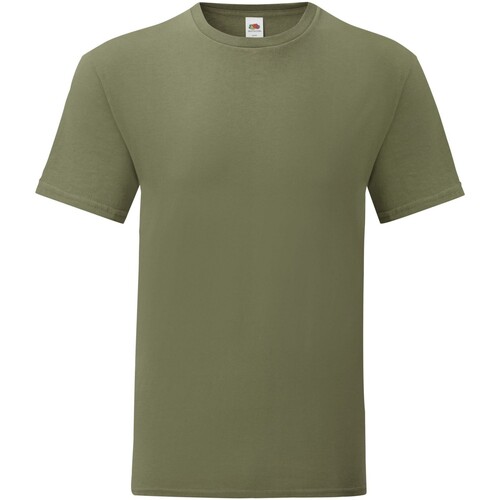 Abbigliamento Uomo T-shirts a maniche lunghe Fruit Of The Loom Iconic Premium Verde