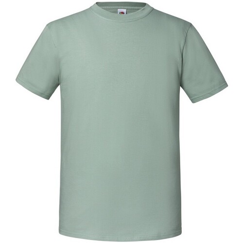 Abbigliamento Uomo T-shirts a maniche lunghe Fruit Of The Loom Iconic Premium Verde