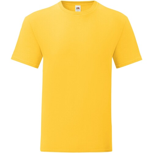 Abbigliamento Uomo T-shirts a maniche lunghe Fruit Of The Loom Iconic Premium Multicolore