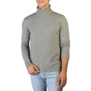 Abbigliamento Uomo Maglioni 100% Cashmere Jersey roll neck Grigio